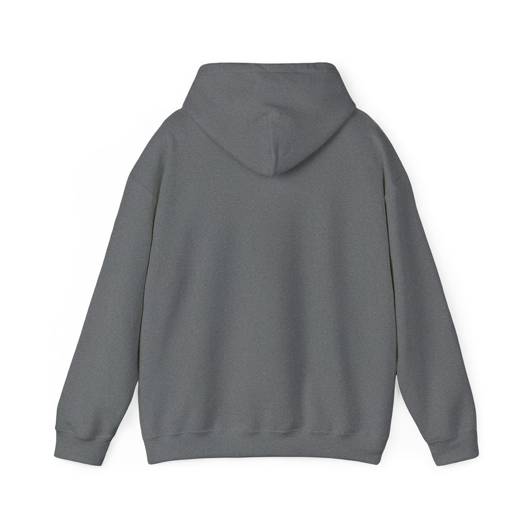 Graphite Heather hoodie, plain back — sunset skeleton print on the front