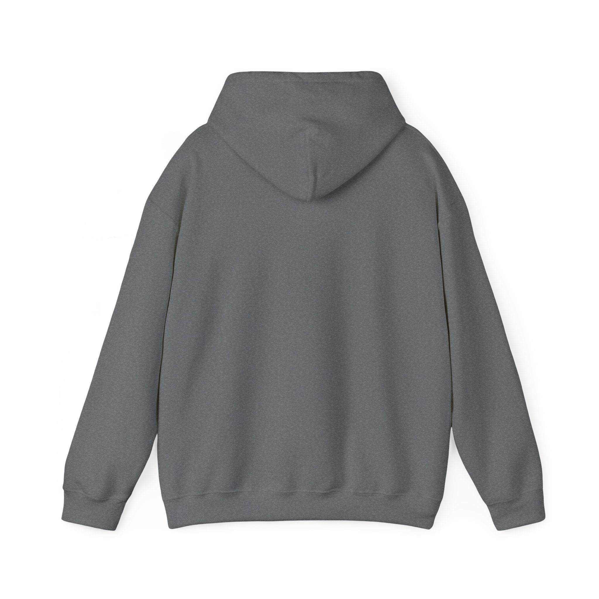 Graphite Heather hoodie, plain back — sunset skeleton print on the front