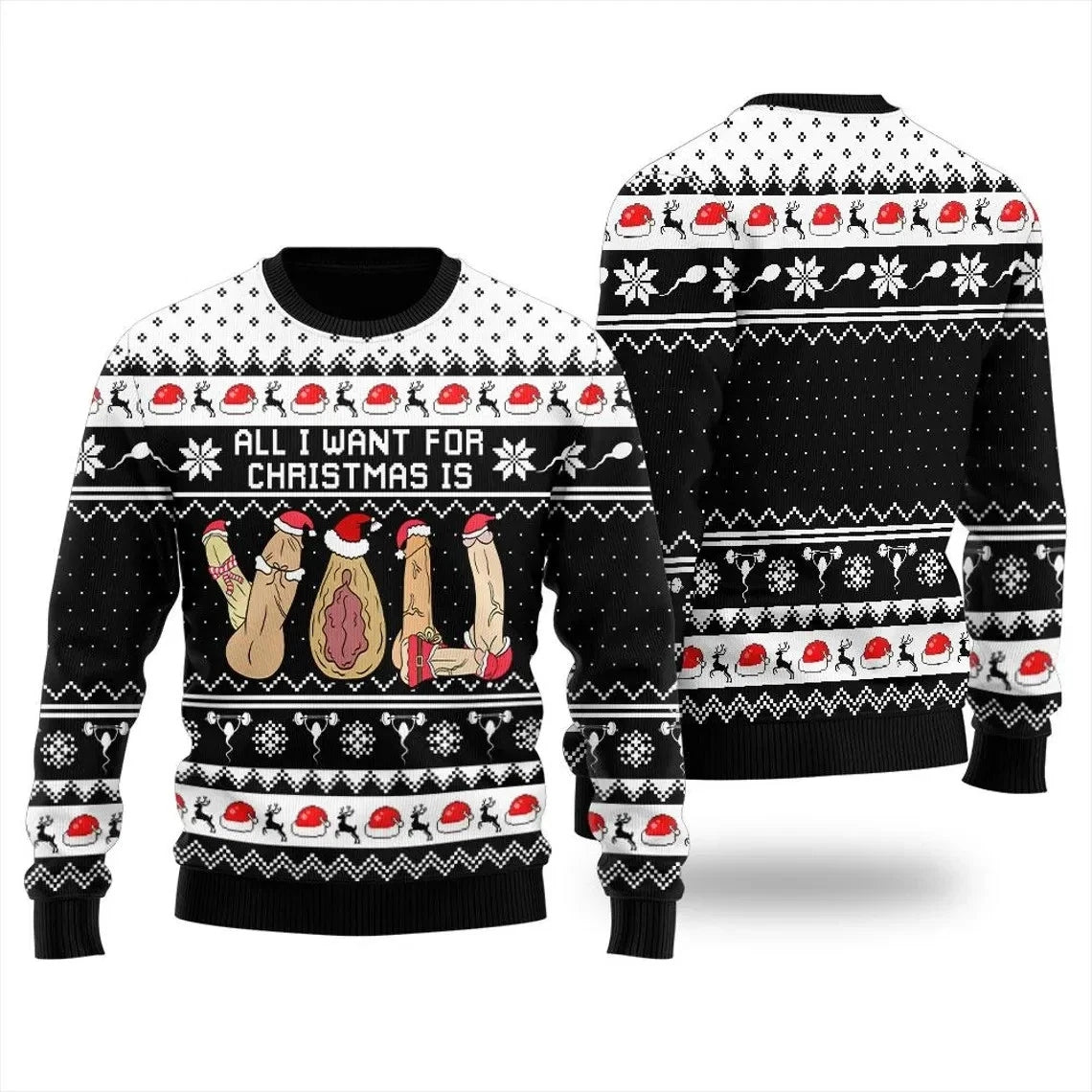 All I Want for Christmas Funny Naughty Adult Ugly Sweater Sweatshirt