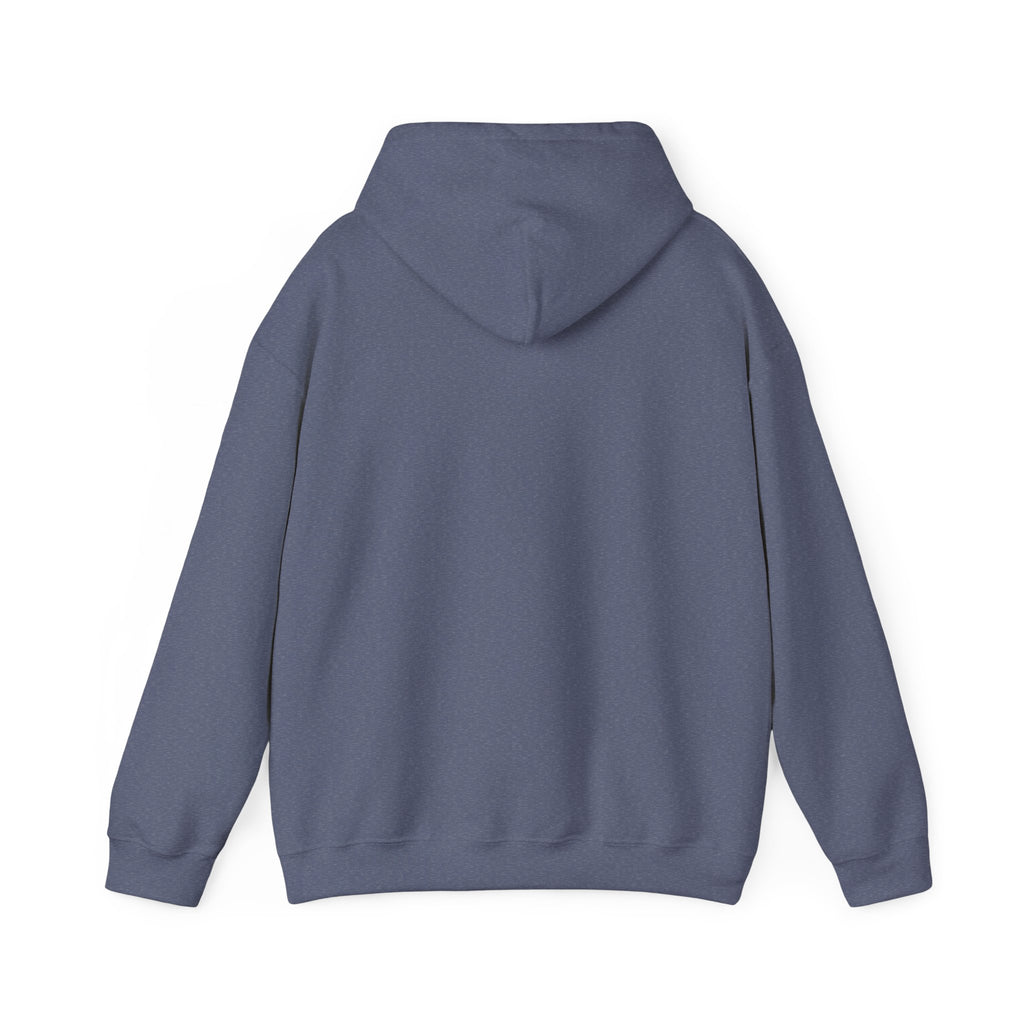 Heather Navy hoodie, plain back — sunset skeleton print on the front