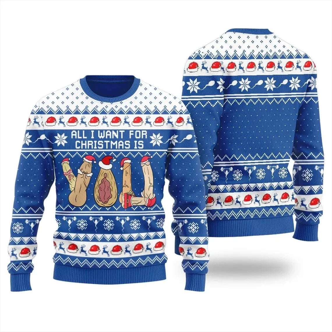 All I Want for Christmas Funny Naughty Adult Ugly Sweater Sweatshirt
