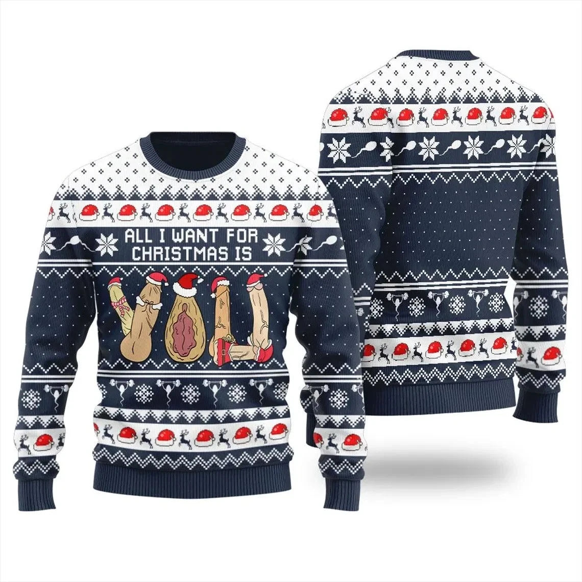 All I Want for Christmas Funny Naughty Adult Ugly Sweater Sweatshirt