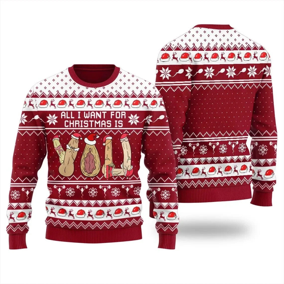 All I Want for Christmas Funny Naughty Adult Ugly Sweater Sweatshirt
