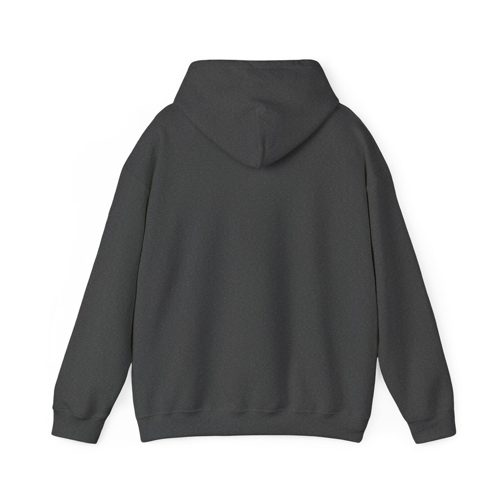 Dark Heather hoodie, plain back — sunset skeleton print on the front
